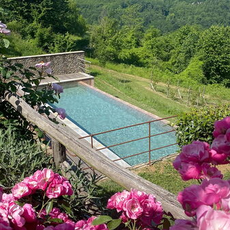 View of the pool from the terrace